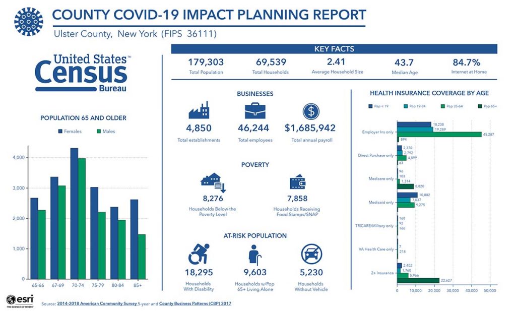 COVID-19 Impact Planning Report (ACS)